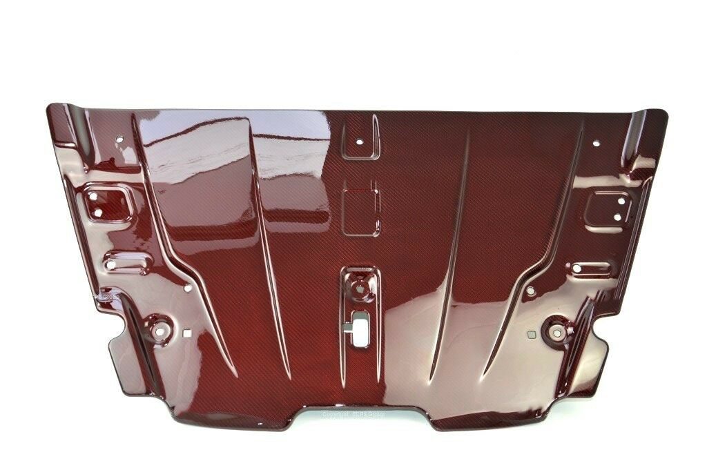 Aston-Martin-Vantage-V8-red-carbon-fiber-radiator-cover-slam-panel (3)