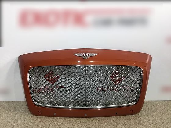 Bentley GT GTC Front grill, Radiator Grille 3W3853653F (7)