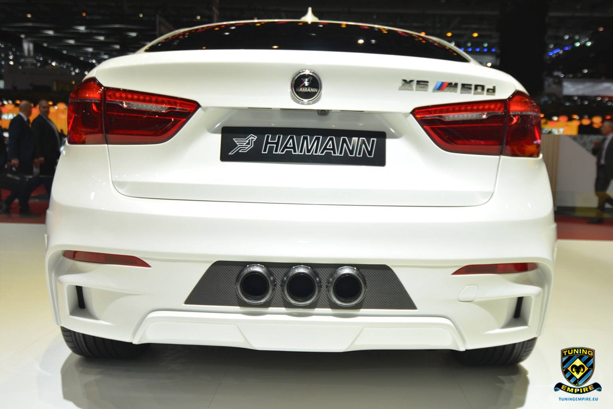 Hamann-Motorsport-BMW-X6-F16 (1)