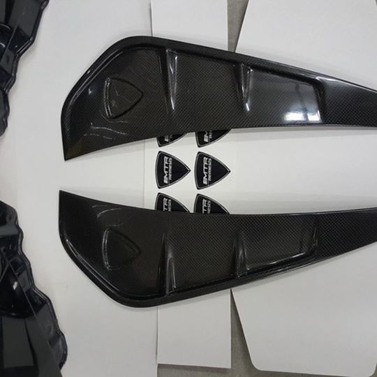 Lexus Carbon Fenders (2)