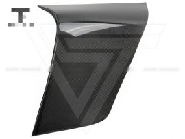 AUDI TT TTS MK2 Carbon Fiber Door Panel