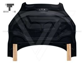 AUDI TT TTS MK2 PPI Carbon Fiber Hood
