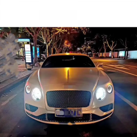 BENTLEY Continental GT Front Bumper Grille Lights Cover Body Kit-1