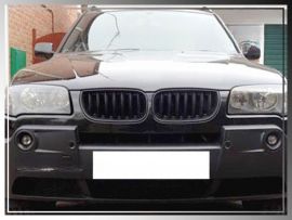 BMW 7 Series E83 X3 2004-2006 Front Grille