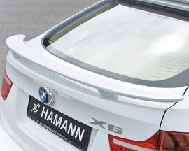 Hamann BMW X6 E71 TYCOON EVO 2-LED  Aerodynamics
